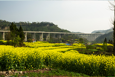 万源（陕川界）至达州（徐家坝）段高速公路